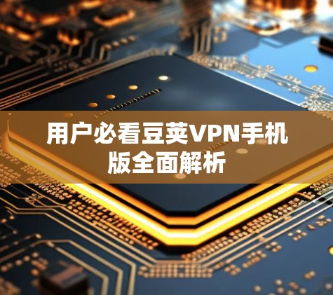 用户必看豆荚VPN手机版全面解析