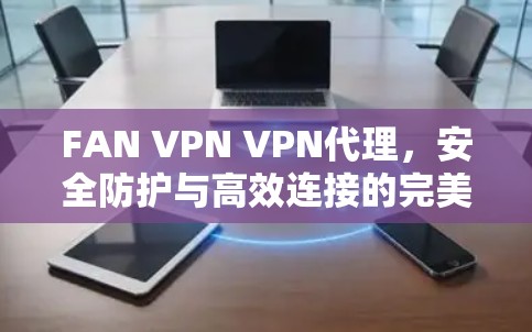 FAN VPN VPN代理，安全防护与高效连接的完美解决方案