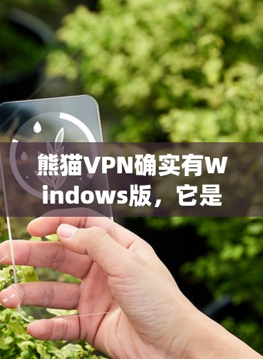熊猫VPN确实有Windows版，它是熊猫agic网络推出的VPN服务，专门为Windows用户设计。熊猫agic网络提供了一系列版本，其中包括了熊猫VPN，它是一个功能强大且易于使用的VPN工具