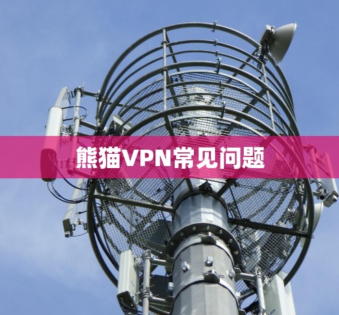 熊猫VPN常见问题