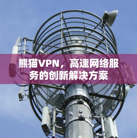 熊猫VPN，高速网络服务的创新解决方案