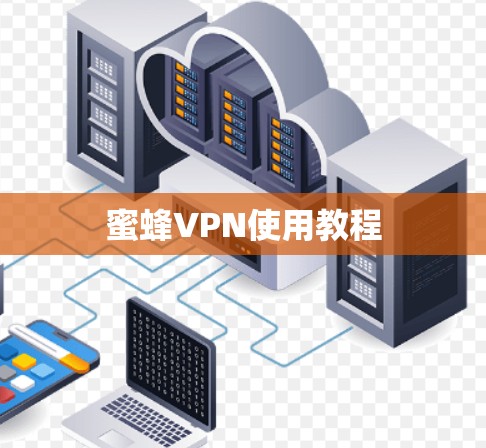 蜜蜂VPN使用教程