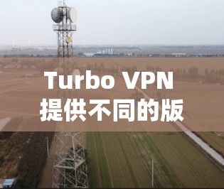 Turbo VPN 提供不同的版本，包括免费的Turbo 1，以及付费的Turbo 2和Turbo 3。以下是价格信息的详细总结