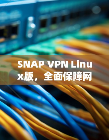 SNAP VPN Linux版，全面保障网络安全的解决方案