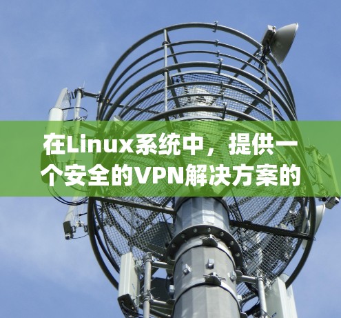 在Linux系统中，提供一个安全的VPN解决方案的一个常用选择是使用 OpenVPN。OpenVPN 是一个开源的VPN软件，支持多种协议，包括 H2、ILV、BGP 等，适合个人用户和企业用户