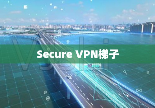 Secure VPN梯子