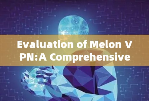 Evaluation of Melon VPN:A Comprehensive Assessment