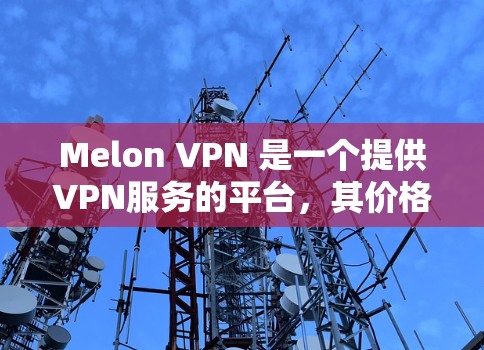 Melon VPN 是一个提供VPN服务的平台，其价格可能取决于如何订阅。通常，Melon VPN 提供以下几种订阅方案