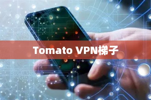 Tomato VPN梯子