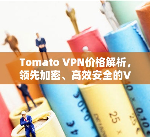 Tomato VPN价格解析，领先加密、高效安全的VPN选择