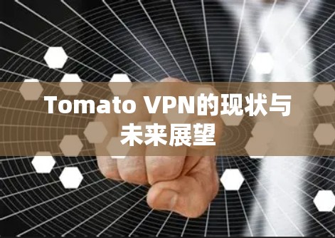 Tomato VPN的现状与未来展望