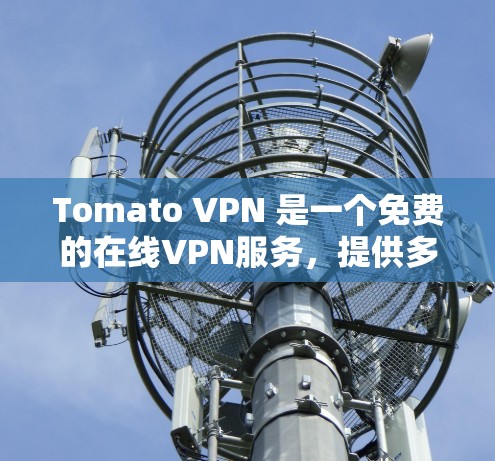 Tomato VPN 是一个免费的在线VPN服务，提供多种版本，包括免费版、高级版和企业版。它允许用户通过网络访问任何网站、下载文件、分享资料等。Tomato VPN 的主要特点包括