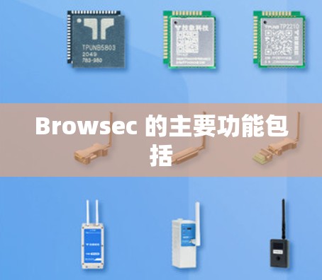 Browsec 的主要功能包括