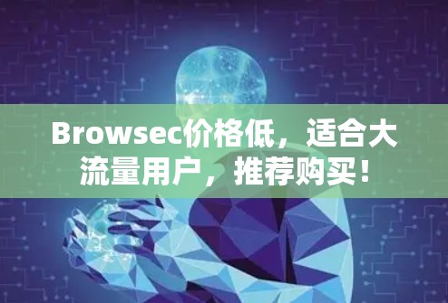 Browsec价格低，适合大流量用户，推荐购买！