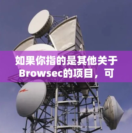 如果你指的是其他关于Browsec的项目，可能需要更多信息来提供更准确的解释