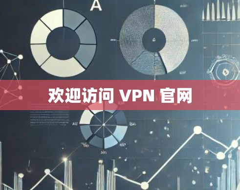 欢迎访问 VPN 官网