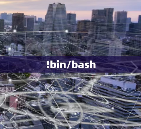 !bin/bash