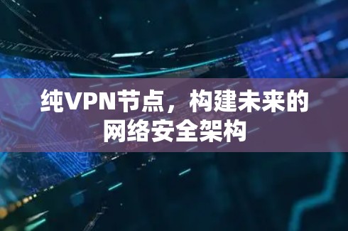 纯VPN节点，构建未来的网络安全架构