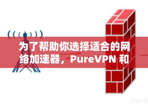 为了帮助你选择适合的网络加速器，PureVPN 和 Netnforce 都具有各自的特点。以下是基于你的需求和分析的建议