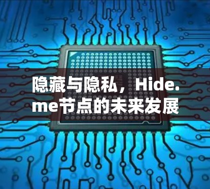 隐藏与隐私，Hide.me节点的未来发展方向