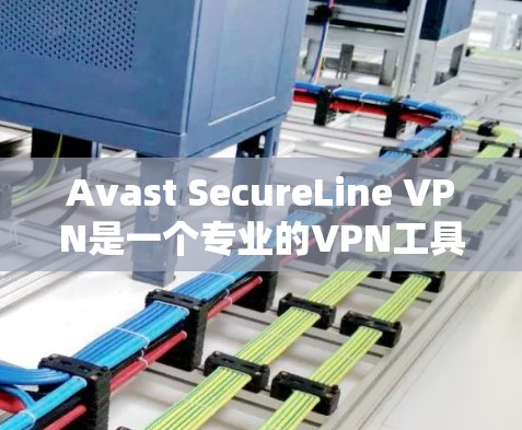 Avast SecureLine VPN是一个专业的VPN工具，以其先进的安全设置和灵活的配置选项著称。以下是对其的主要评测