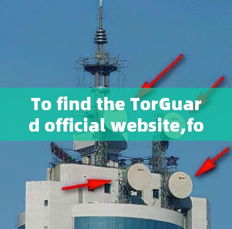 To find the TorGuard official website,follow these organized steps: