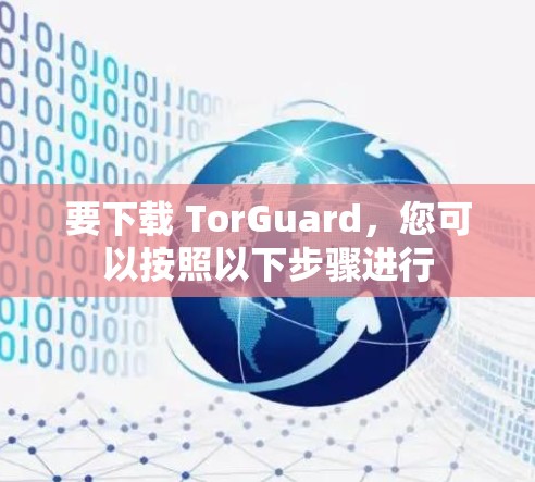 要下载 TorGuard，您可以按照以下步骤进行