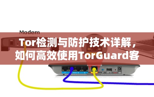 Tor检测与防护技术详解，如何高效使用TorGuard客户端下载