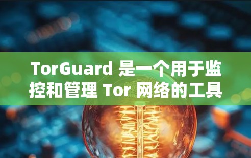 TorGuard 是一个用于监控和管理 Tor 网络的工具，旨在保护 Tor 网络的安全性。以下是关于 TorGuard 的详细信息