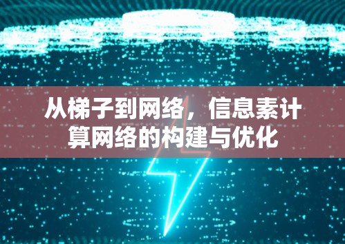 从梯子到网络，信息素计算网络的构建与优化