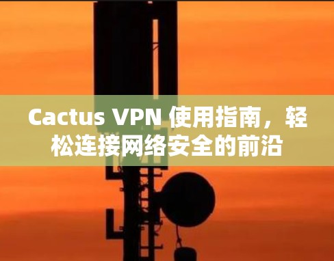 Cactus VPN 使用指南，轻松连接网络安全的前沿