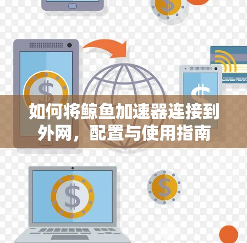 如何将鲸鱼加速器连接到外网，配置与使用指南