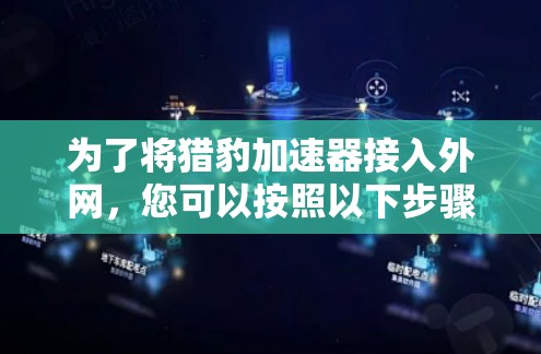 为了将猎豹加速器接入外网，您可以按照以下步骤进行操作