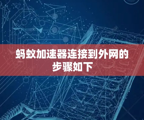 蚂蚁加速器连接到外网的步骤如下