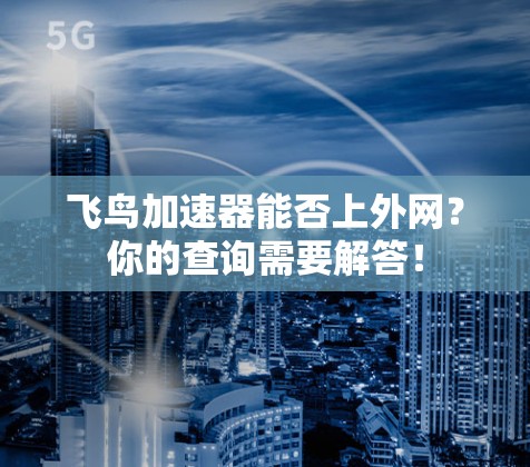 飞鸟加速器能否上外网？你的查询需要解答！