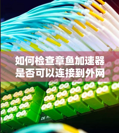 如何检查章鱼加速器是否可以连接到外网
