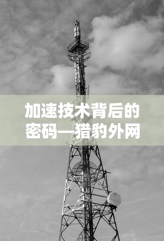 加速技术背后的密码—猎豹外网加速器的兑换码功能