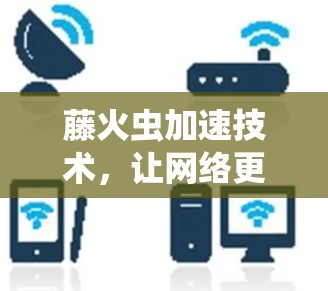 藤火虫加速技术，让网络更明亮