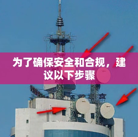 为了确保安全和合规，建议以下步骤