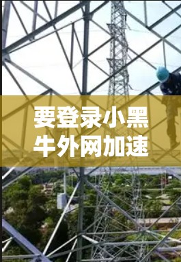 要登录小黑牛外网加速器，您可以按照以下步骤操作