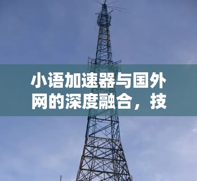 小语加速器与国外网的深度融合，技术实现与未来展望