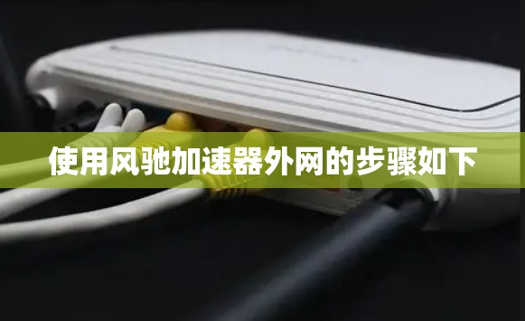 使用风驰加速器外网的步骤如下