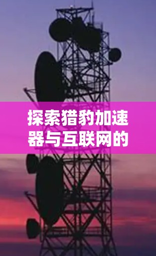 探索猎豹加速器与互联网的连接，解读网络时代加速器的未来方向
