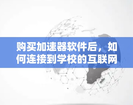 购买加速器软件后，如何连接到学校的互联网取决于多个因素，包括加速器的兼容性、学校的网络设置以及加速器的连接方式。以下是一些可能的步骤和注意事项
