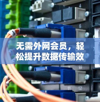 无需外网会员，轻松提升数据传输效率