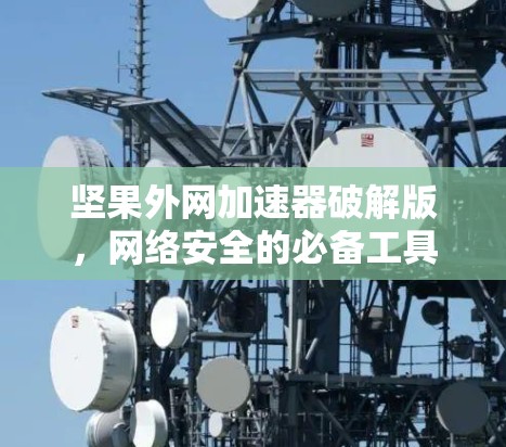 坚果外网加速器破解版，网络安全的必备工具