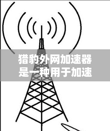 猎豹外网加速器是一种用于加速网站访问的工具，通常用于解决加速慢、缓存占用过多等问题。以下是对该工具的一些常见问题和解决方案的总结