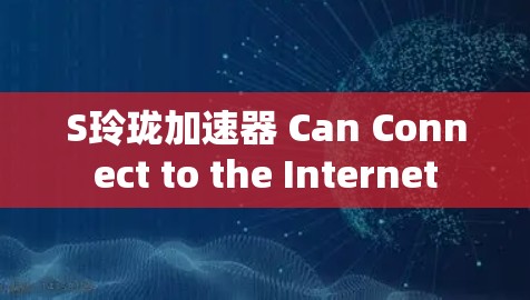 S玲珑加速器 Can Connect to the Internet