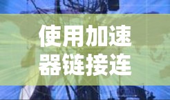 使用加速器链接连接到外网的具体步骤如下
