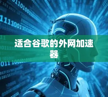 适合谷歌的外网加速器